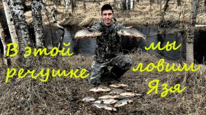 На этот раз мы отправились на тропу, по которой ловится язь. Весенняя рыбалка 2022..