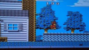 Wally bear dendy.mp4