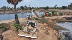 WOW!! INSANE SKILL!! Massive Land Filling – KOMATSU Bulldozer & 15Ton Trucks Nonstop!