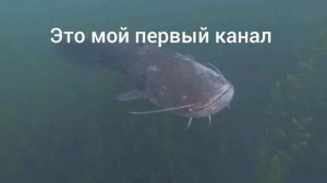 1000068641.mp4