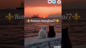 👑🧸Новая⚜️2026⚜️ Песня 🧸👑Sarara❤️🔥 Для  души 🫶 ашунэнти пэ зорэс 🎵🎤💫 Не забудьте подписатьс