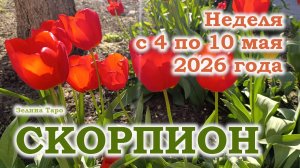 СКОРПИОН | ТАРО прогноз на неделю с 4 по 10 мая 2026 года