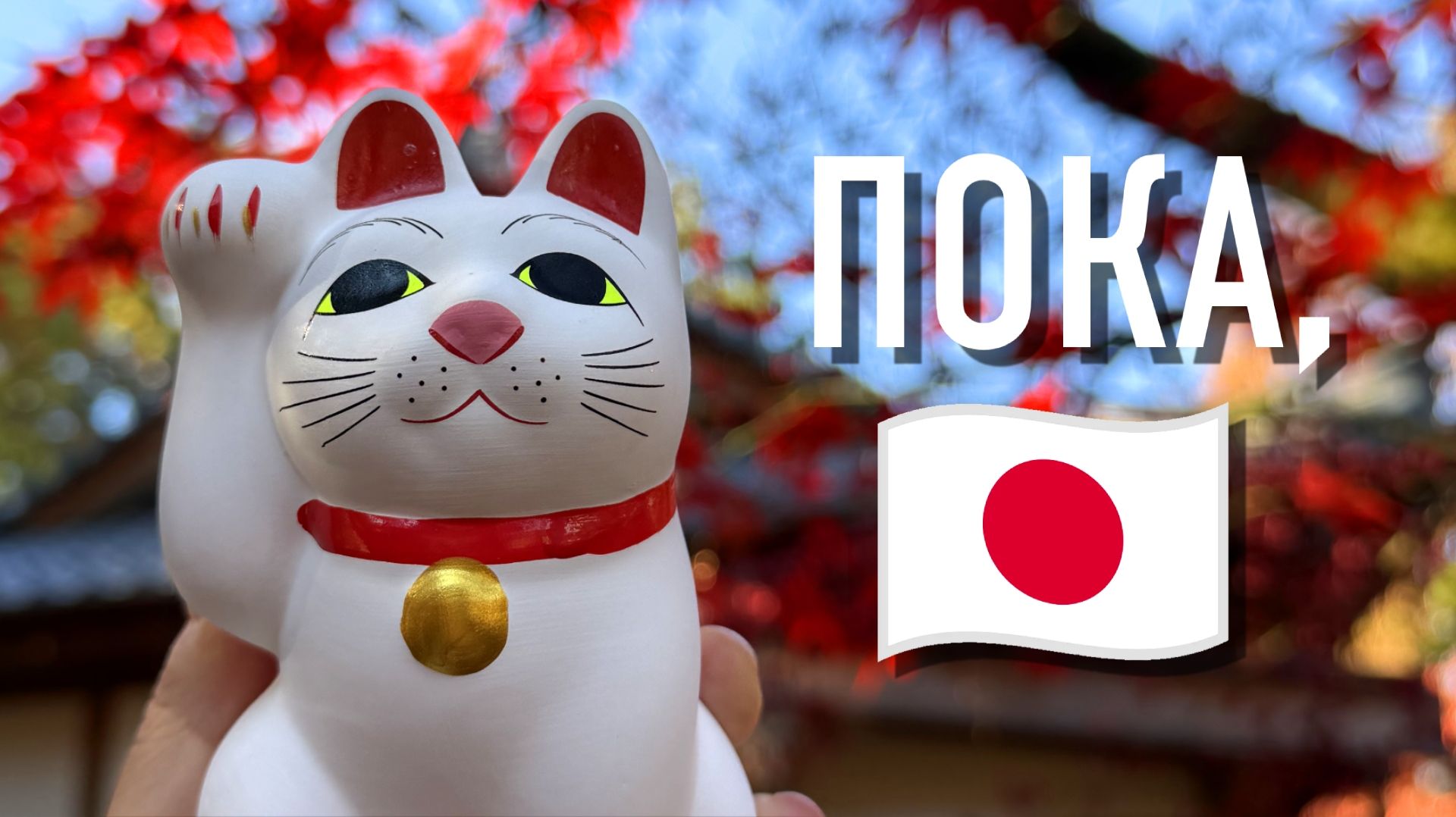 ПОСЛЕДНЕЕ ВИДЕО 🇯🇵👋 Япония 2025. Часть 8