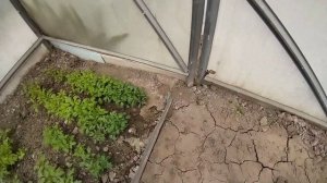 Мир, Труд, МАЙ. Отдыхаем.