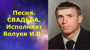 1608.2.В.Ю. ВИДЕО. Песня. СВАДЬБА. Исполняет Волуев И.В. Отличная песня.