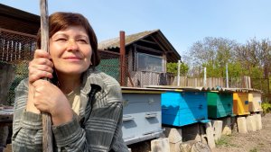 Дом, где тепло: счастье на Юге | Пчелиные домики заселены, кукуруза посажена | Мульча для теплицы