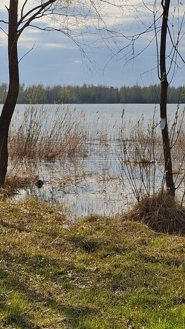 Ворона и озеро Пермяковское,  весна, 2 мая