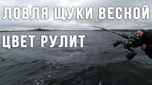 Ловля щуки весной. Эта приманка сделала всю рыбалку.
