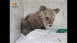 ТРИНАДЦАТЫЙ…