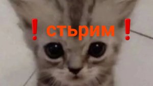 завтра стрим