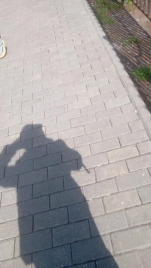 прыгаем с тарзанки