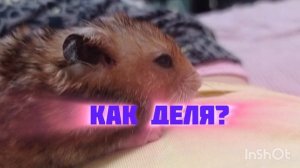 ;з