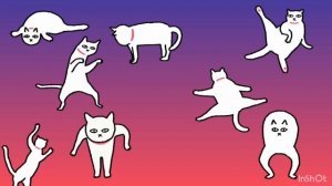 КОТИКИ -И - И- И!