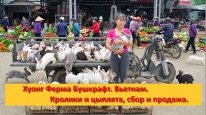 Хуонг Ферма Бушкрафт. Вьетнам. Кролики и цыплята, сбор и продажа.