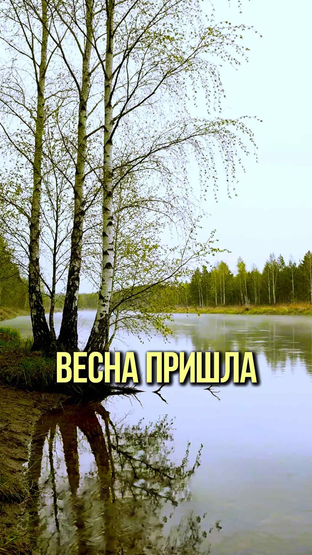 Весна пришла смотреть онлайн