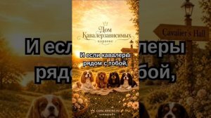 Гимн Кавалер зависимых - караоке версия