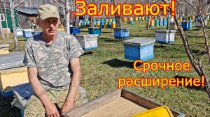 СРОЧНОЕ РАСШИРЕНИЕ! Весенний взяток, КАРНИКА в СИБИРИ!