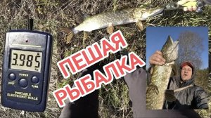 Спиннинг с берега // Крупные приманки!!!