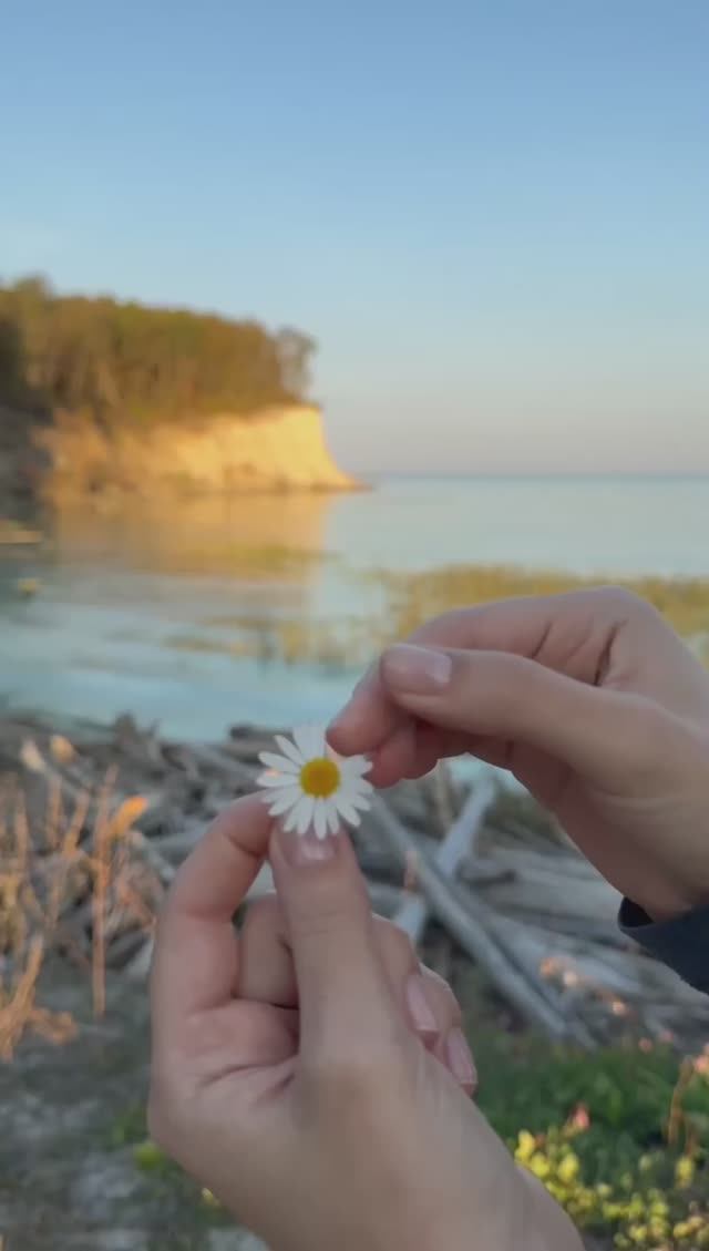 Волга Ундоры Дубки