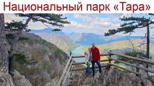 Национальный парк «Тара» - природная жемчужина Сербии