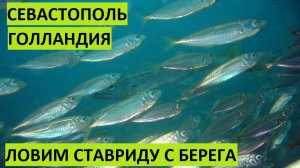 Севастополь. Голландия. Рыбалка на ставридку с берега