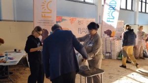 выставка собак джек рассел терьер монопородка 2026г