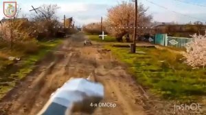 🔴🐷 Свин вырядился по гражданке, но это ему не помогло.🔴