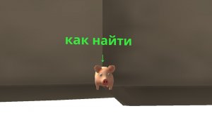как найти эту свинюшку в чикенгане