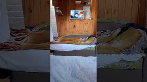 просто новости