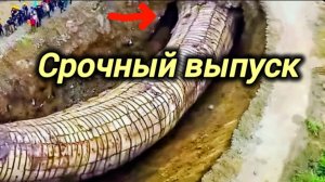 Новости Сегодня 02.05.2026 - Катаклизмы, ЧП, События дня | Россия США Китай Европа Индия
