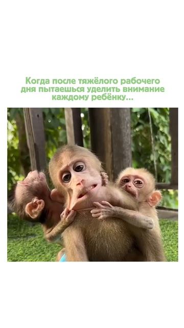 Мамочки, вы держитесь? 😂