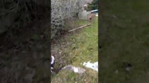 влог с дачи