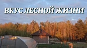 ВКУС ЛЕСНОЙ ЖИЗНИ. КОПЧЕНИЕ, ДОМАШНИЙ ХЛЕБ и ПЕРВЫЙ УЛОВ на пруду. СЕРДЦЕ БАНИ ГОТОВО. НОВЫЕ ЖИТЕЛИ