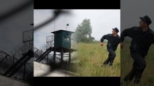 Порой казалось,сл.@Ю.Колчак, ИИ