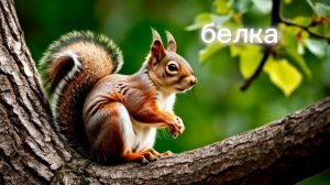 Развивающий мультик для детей. животные Российских лесов.