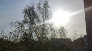 СЕНСАЦИЯ  2  мая как обещал вам ☀️ до вечера и без осадков УРА!!!