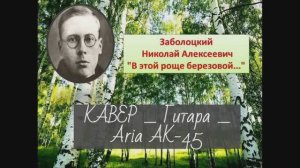 Николай Заболоцкий - В этой роще березовой _ Иволга _ КАВЕР _ Гитара  Aria AK-45 _ 17.04.2026