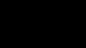 38906.mp4
