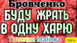 Семья Бровченко _Жрут в одну харю _Обзор Влогов _