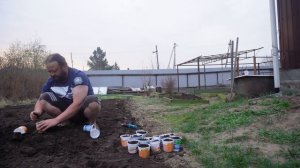 Успеваю ВСЕ Высаживаю семена на рассаду ПОДВАЛ ИЛЬИЧА
