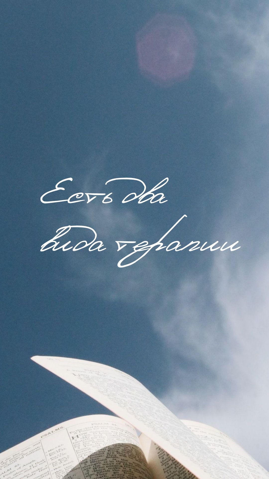 Есть два вида терапии ☕️🕊️🤍