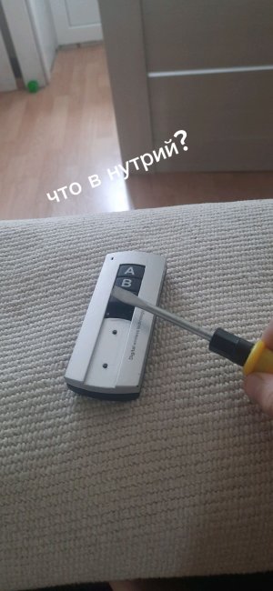 что внутри пульта