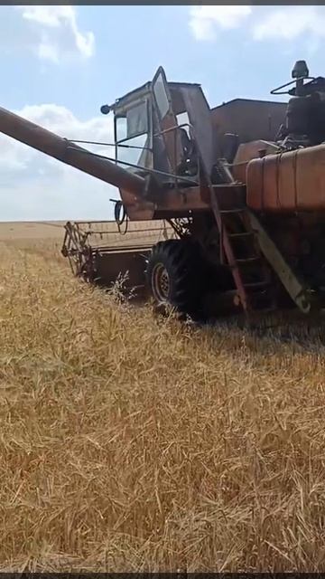 Комбайн Нива снова в деле. смотреть онлайн