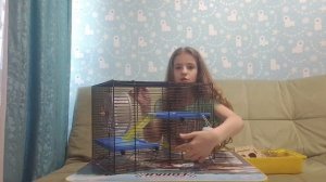 покупка для хомячка
