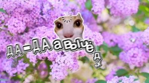 только чистая правда