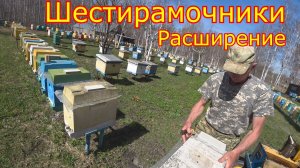 ШЕСТИРАМОЧНИКИ, РАСШИРЕНИЕ! Бурный старт, Карника
