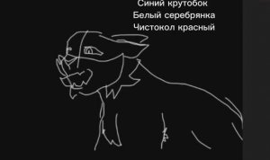 Открытый набор в мап про крутобока раскардеровка