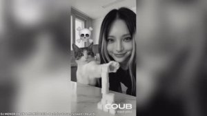 #смешныевидео -1365