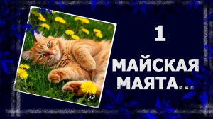 Майская маята. Что взяла с собою в май?   #вязание #handmade