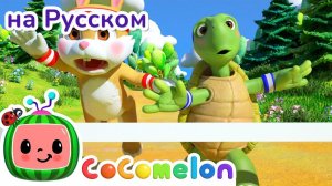 Гонки Черепахи и Зайца# НОВАЯ СЕРИЯ # CoComelon на русском — Детские песенки # Мультики для детей